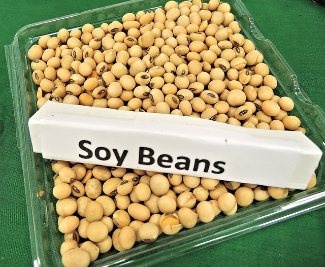 Soy Beans 968986 640